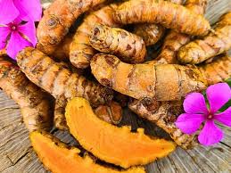Turmeric root and powder, the Curcuma longa ingredient in JointReliveX joint capsules